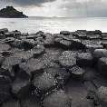 Basaltsulen am Giant's Causeway [20731-G-21]