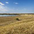 Waldsteppe am Bolshoe Chabachie See (Borovoe/Kasachstan) [37606-Z-22]